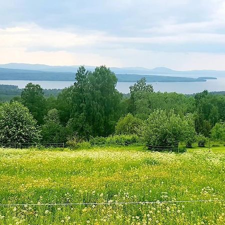 Utsikten -Exklusivt Nybyggt Timmerhus -Plintsberg. Tällberg Exterior foto