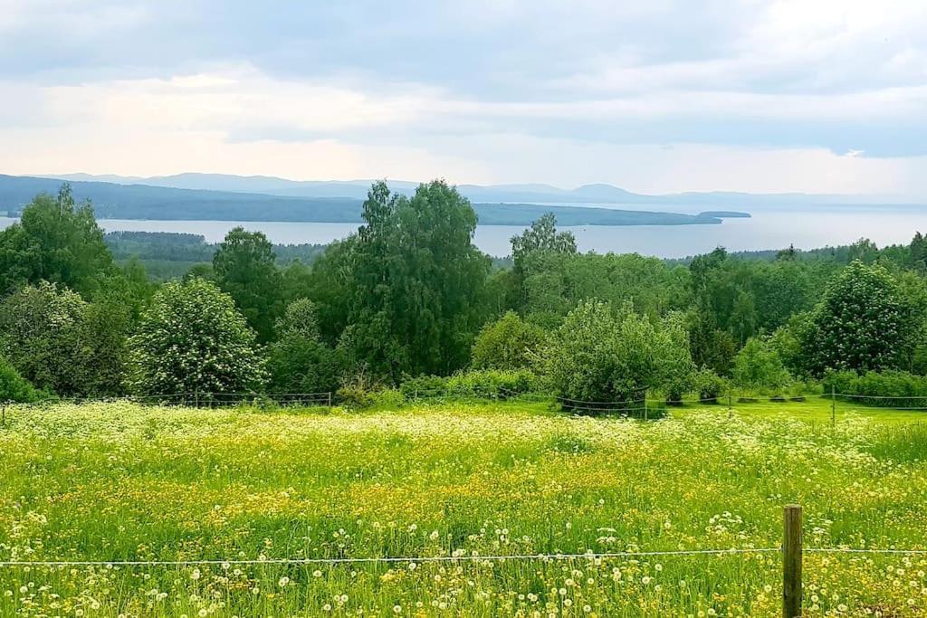 Utsikten -Exklusivt Nybyggt Timmerhus -Plintsberg. Tällberg Exterior foto