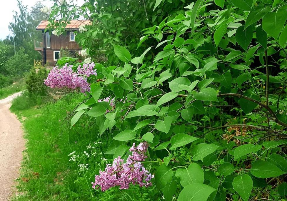Utsikten -Exklusivt Nybyggt Timmerhus -Plintsberg. Tällberg Exterior foto