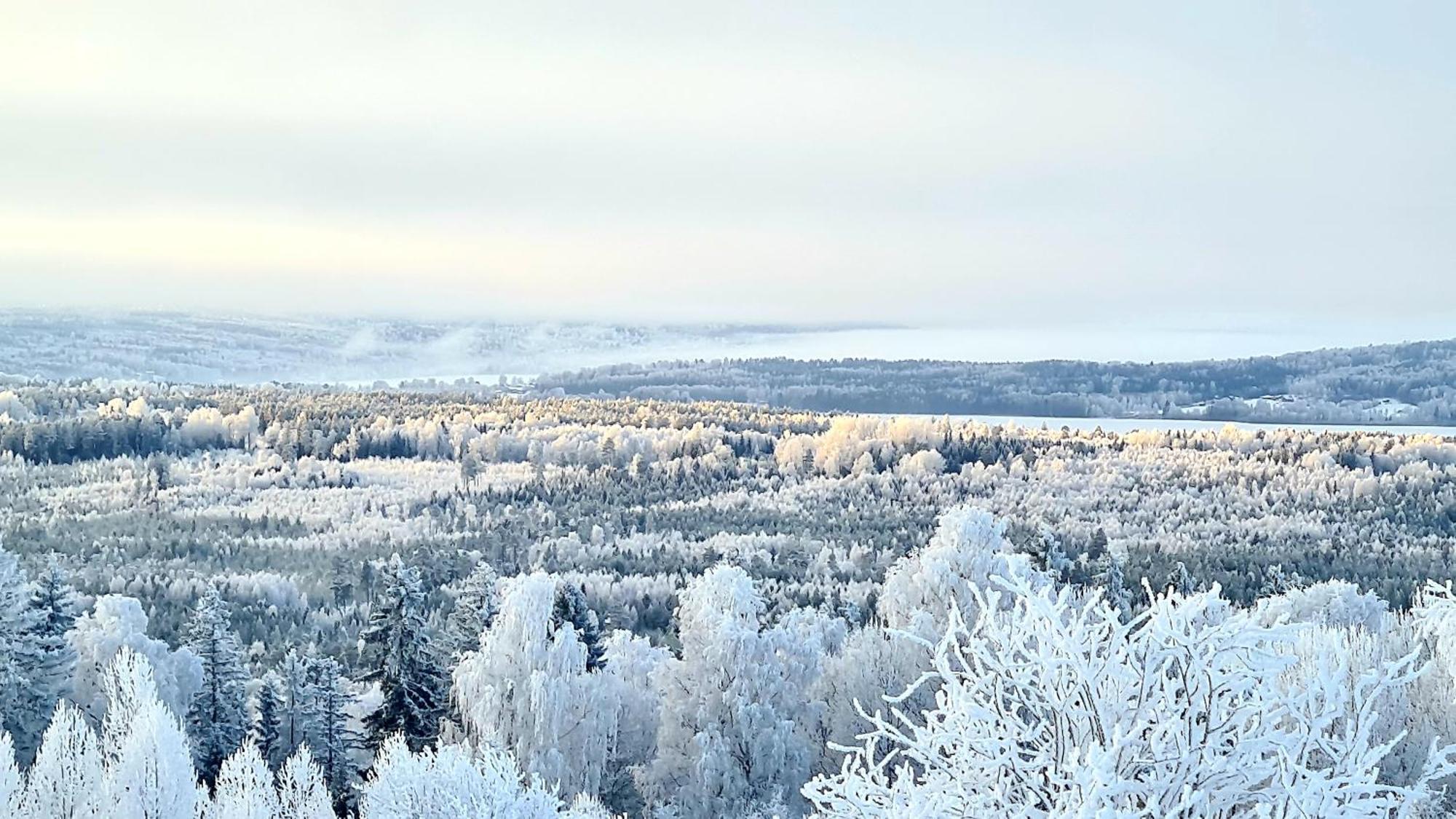 Utsikten -Exklusivt Nybyggt Timmerhus -Plintsberg. Tällberg Exterior foto